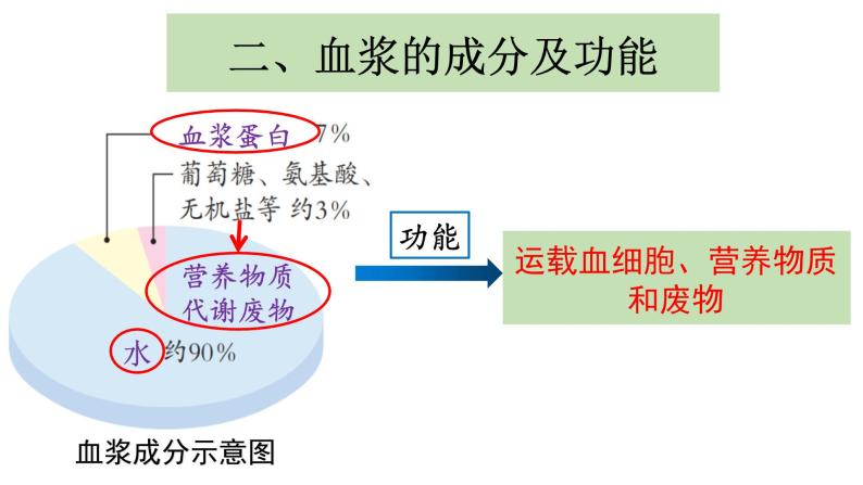 4.4.1流动的组织--血液课件2021-2022学年 人教版生物七年级下册07