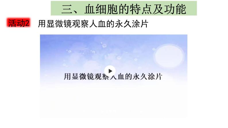 4.4.1流动的组织--血液课件2021-2022学年 人教版生物七年级下册08