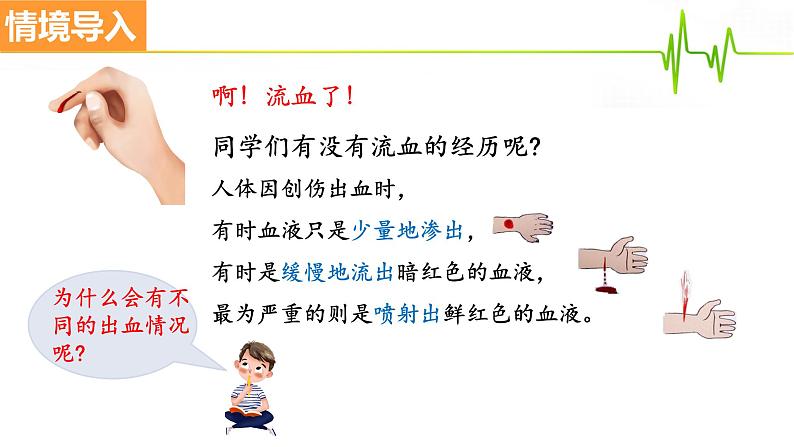 4.4.2血流的管道——血管课件2021-2022学年人教版生物七年级下册第2页