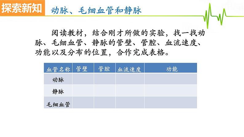 4.4.2血流的管道——血管课件2021-2022学年人教版生物七年级下册第8页