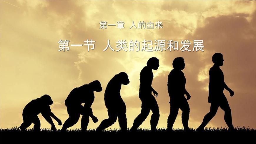 第四單元第一章第一節(jié)人類的起源和發(fā)展課件2021--2022學(xué)年人教版生物七年級下冊第1頁