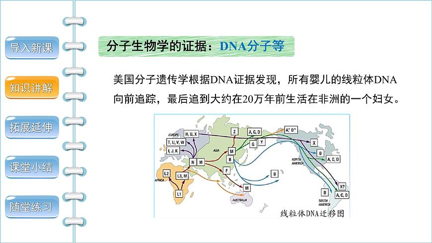 第四單元第一章第一節(jié)人類的起源和發(fā)展課件2021--2022學(xué)年人教版生物七年級下冊第8頁