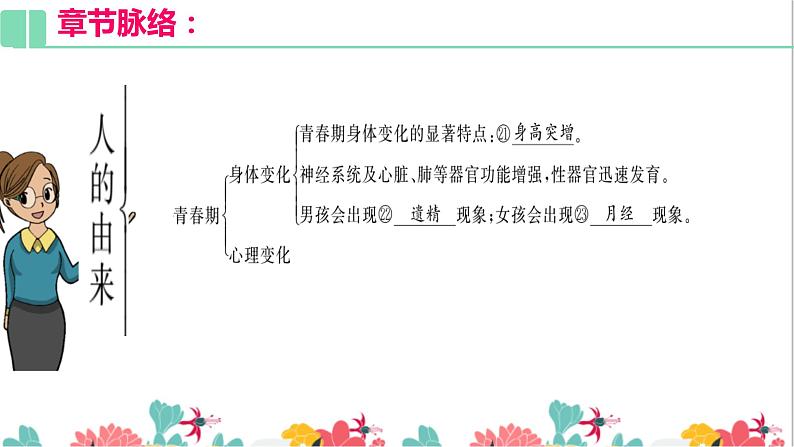 人教版生物七年级下册复习课件:第一章人的由来06