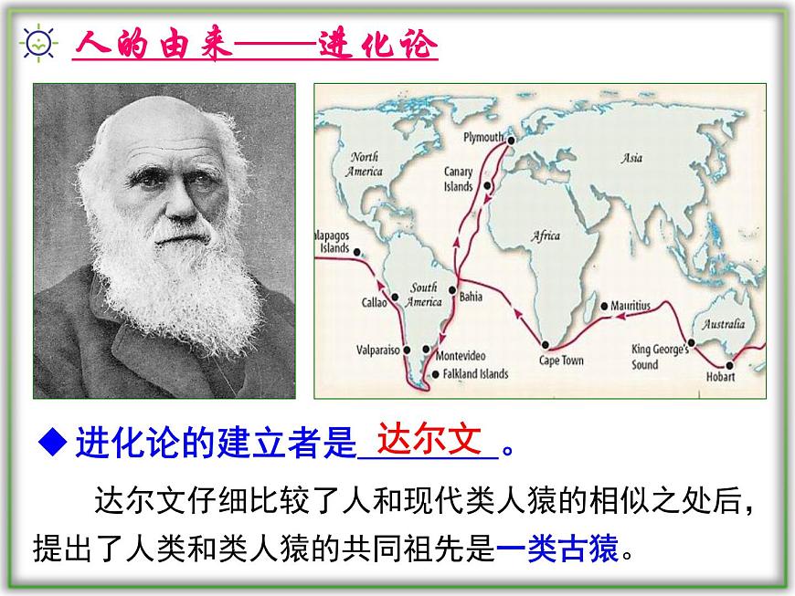 4.1.1人類的起源和發(fā)展課件2021--2022學(xué)年 人教版生物七年級(jí)下冊(cè)第5頁