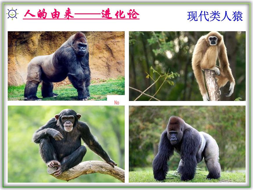 4.1.1人類的起源和發(fā)展課件2021--2022學(xué)年 人教版生物七年級(jí)下冊(cè)第6頁