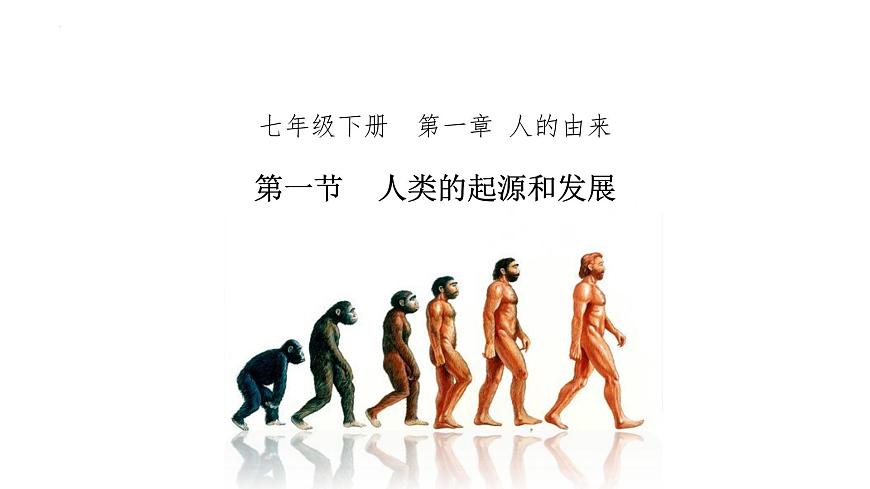 4.1.1人類的起源和發(fā)展課件2021--2022學(xué)年人教版生物七年級(jí)下冊第2頁