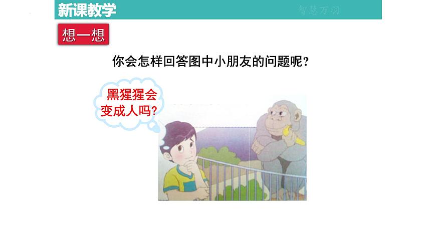 4.1.1人類的起源和發(fā)展課件2021--2022學(xué)年人教版生物七年級(jí)下冊第4頁