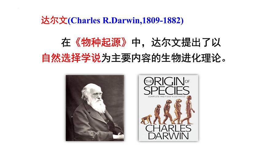 4.1.1人類的起源和發(fā)展課件2021--2022學(xué)年人教版生物七年級(jí)下冊第7頁