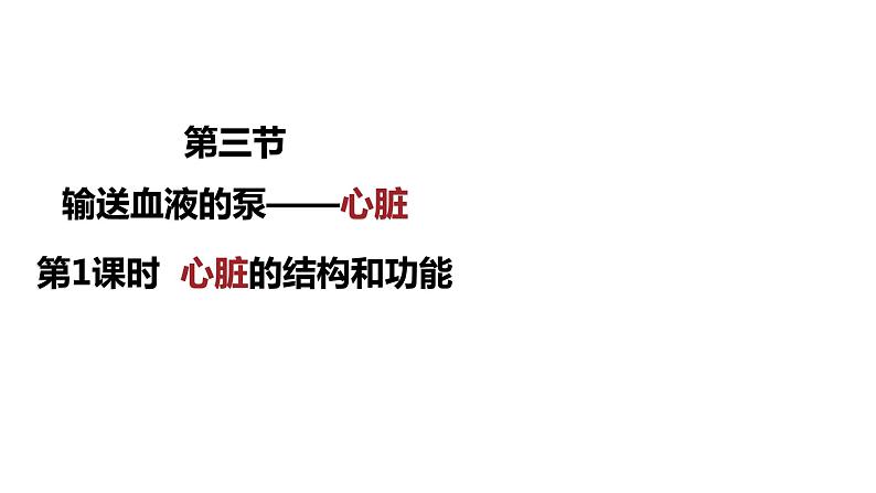 4.4.3输送血液的泵——心脏(第1课时)课件2021--2022学年人教版七年级下册生物第1页