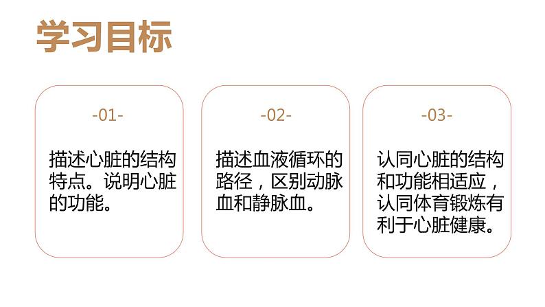4.4.3输送血液的泵——心脏(第1课时)课件2021--2022学年人教版七年级下册生物第3页