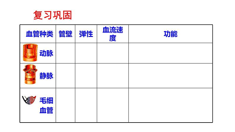 4.4.3输送血液的泵——心脏(第1课时)课件2021--2022学年人教版七年级下册生物第4页