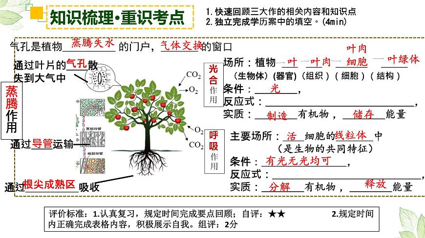 2022年生物中考綠色植物三大生理作用專題復(fù)習(xí)第5頁