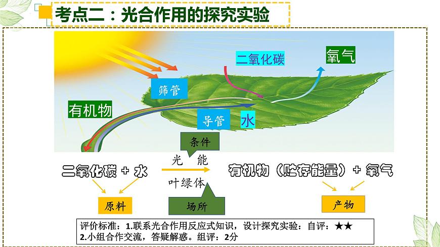 2022年生物中考綠色植物三大生理作用專題復(fù)習(xí)第8頁