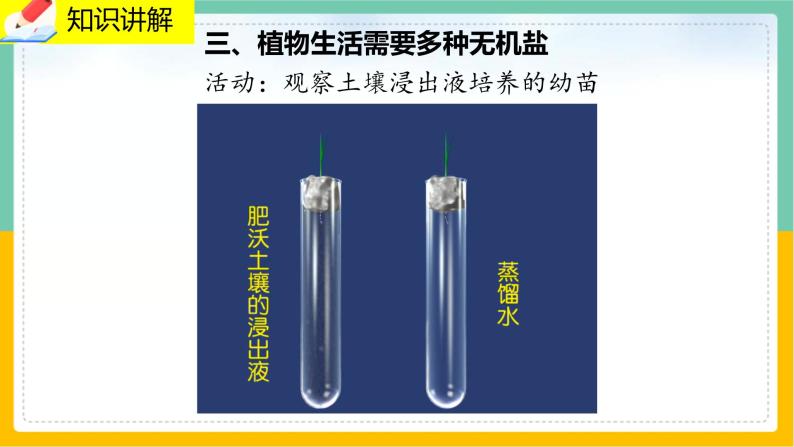 5.3《吸收作用》课件PPT+教案+同步练习08