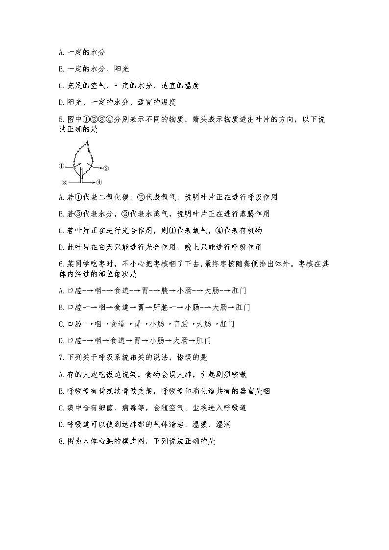 2022年湖北省襄阳市老河口市中考适应性考试生物试题(word版无答案)02
