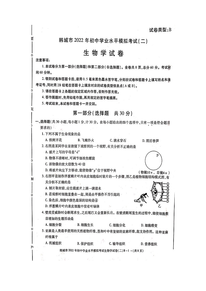 2022年陕西省韩城市初中学业水平模拟考试(二)生物试题(有答案)01