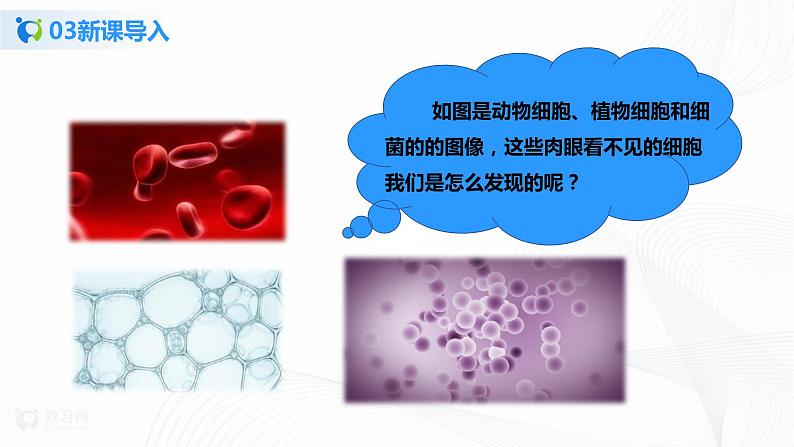 2.1.1《练习使用显微镜》课件(1)第5页