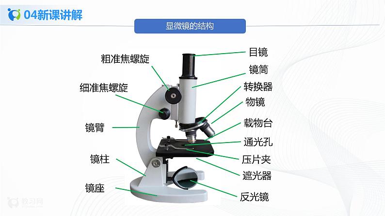 2.1.1《练习使用显微镜》课件(1)第8页