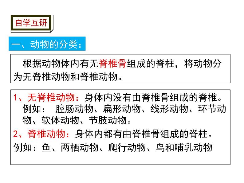 5.1.4 鱼 课件第2页