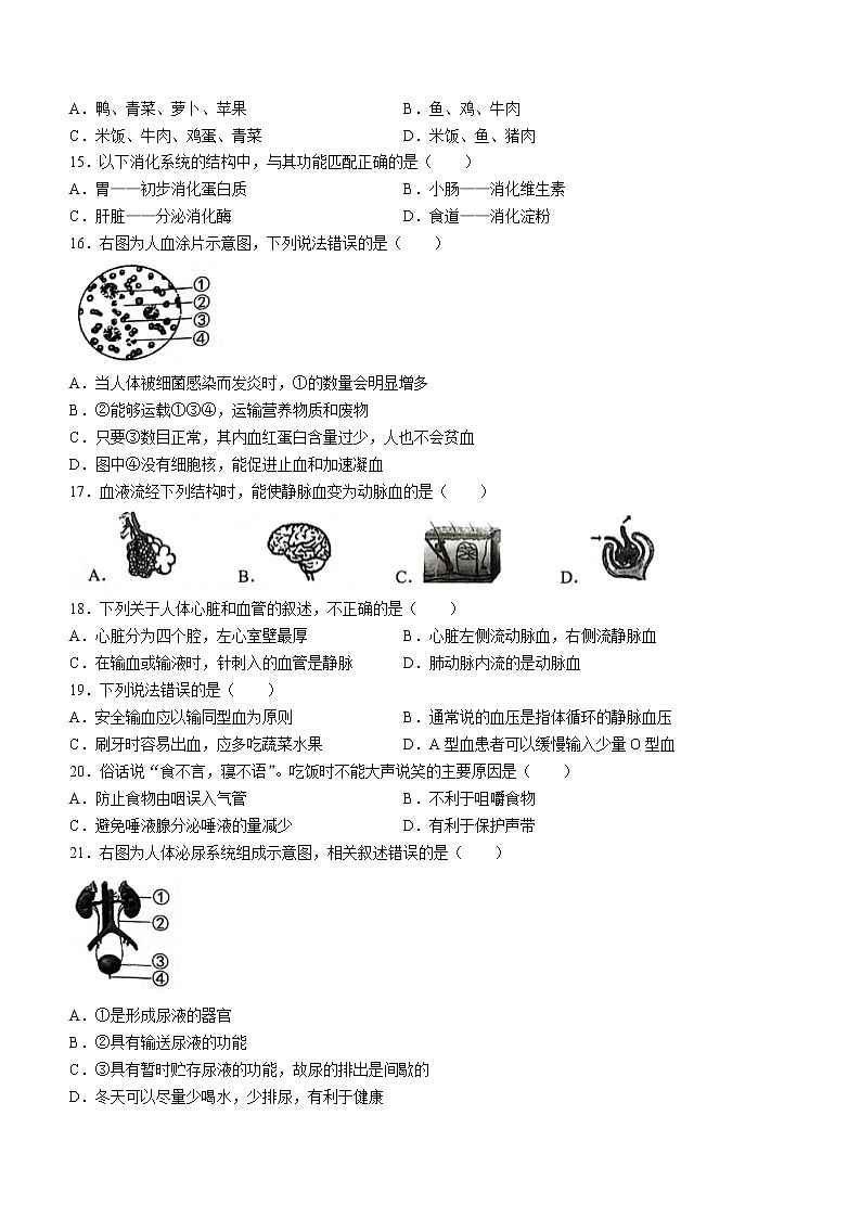 2022年云南省昭通市绥江县中考二模生物试题(word版含答案)第3页