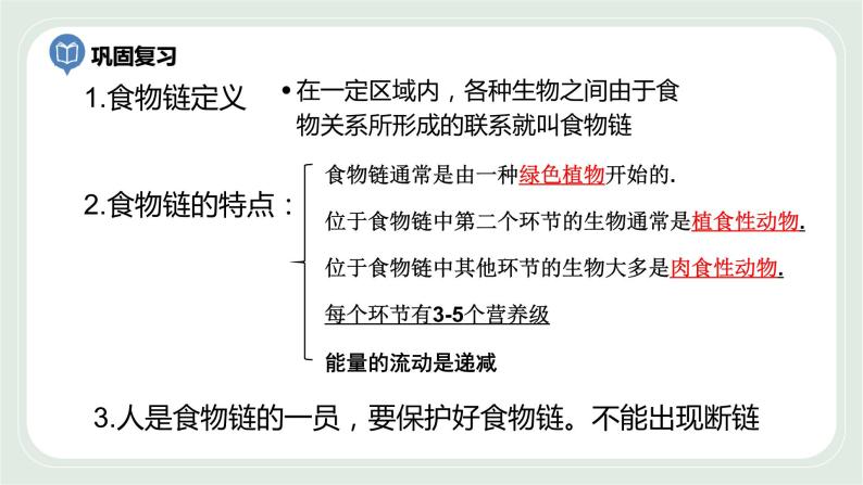 6.1 食物链 第2课时-七年级生物上册 课件+练习（苏科版）02