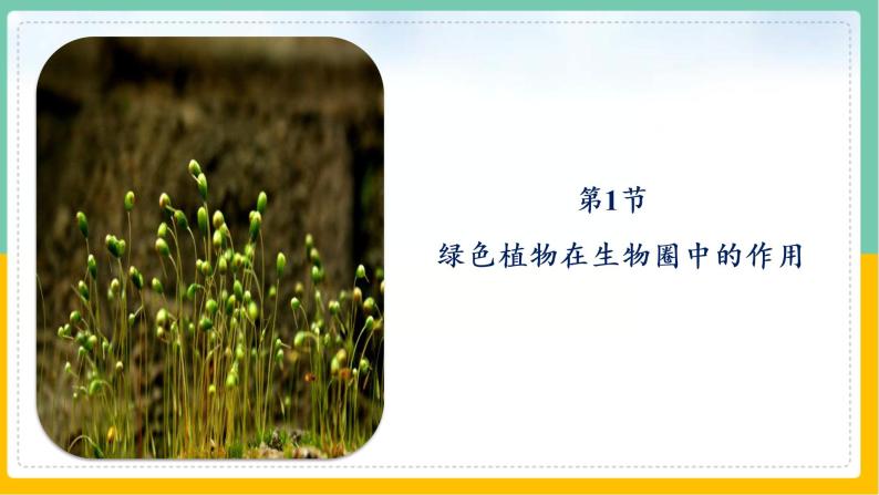 7《绿色植物与生物圈》课件PPT+教案+同步练习02