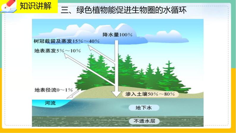 7《绿色植物与生物圈》课件PPT+教案+同步练习06