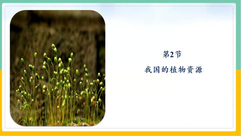 7《绿色植物与生物圈》课件PPT+教案+同步练习08