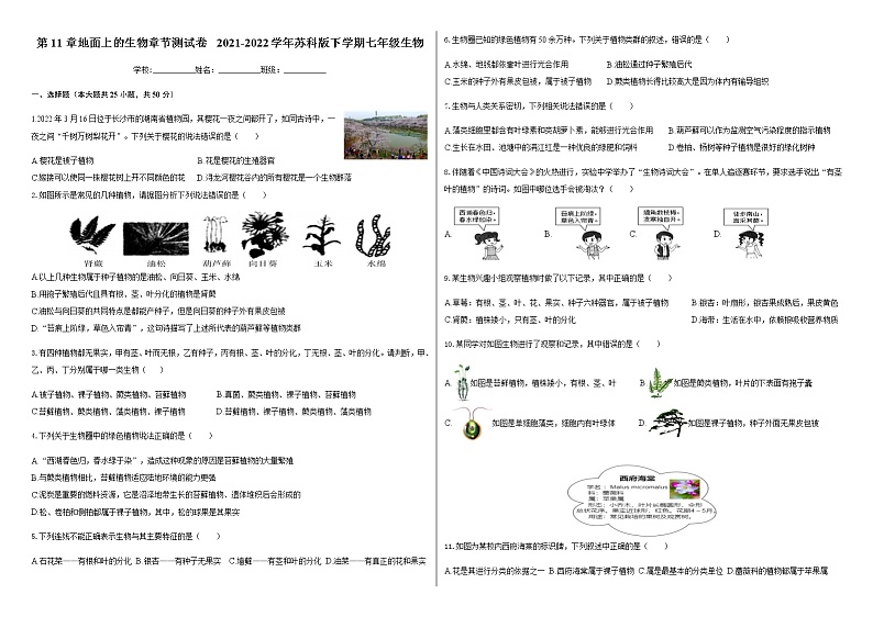 第11章地面上的生物 章节测试卷 2021-2022学年苏科版下学期七年级生物01