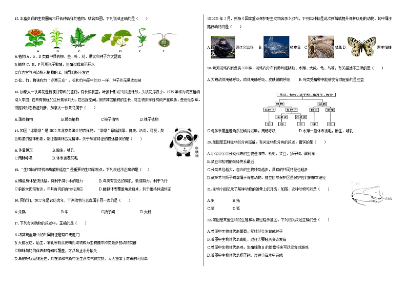第11章地面上的生物 章节测试卷 2021-2022学年苏科版下学期七年级生物02
