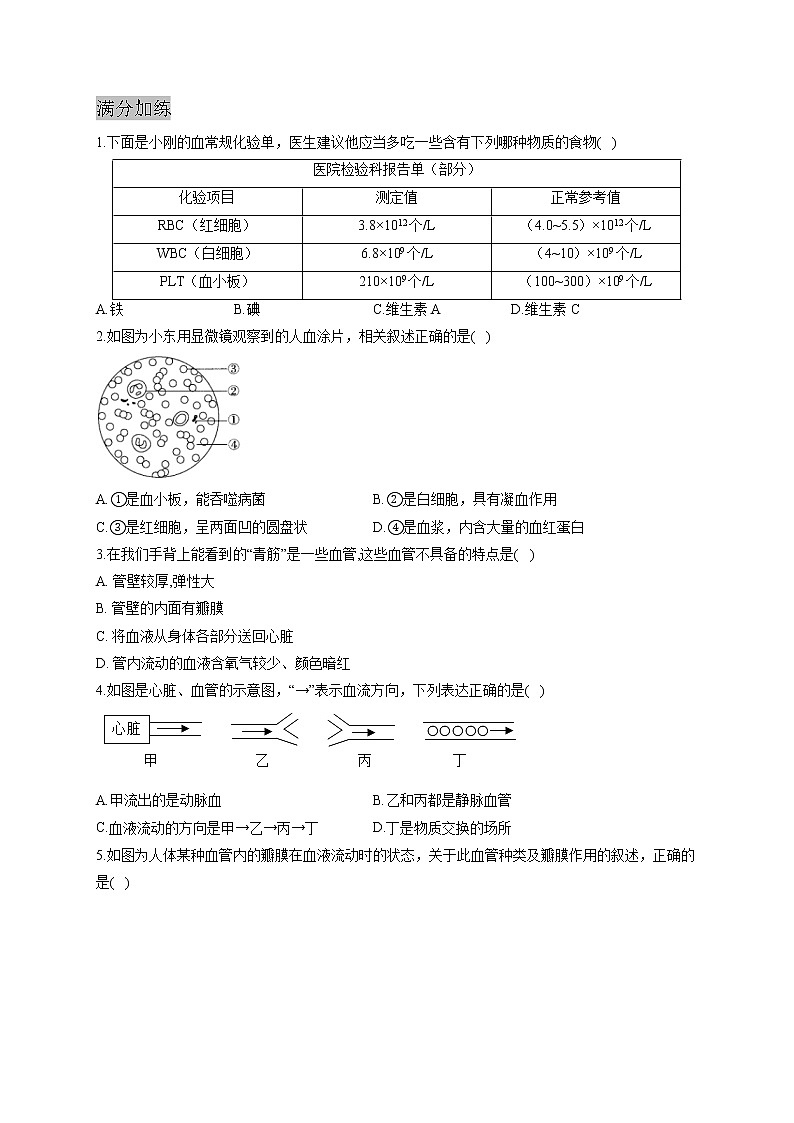 人教版生物七年级下册期末复习章节知识点汇总及练习 第四章 人体内物质的运输03
