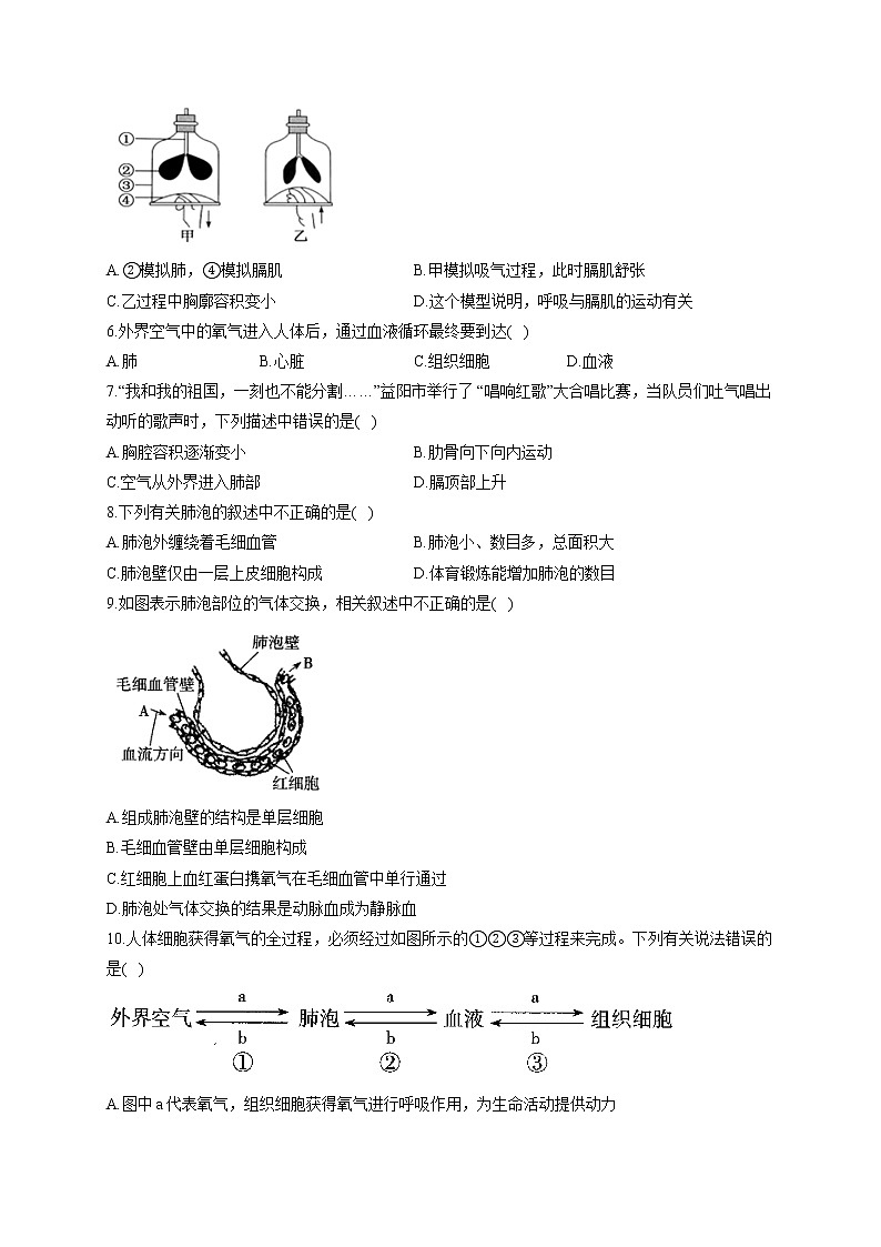 人教版生物七年级下册期末复习章节知识点汇总及练习 第三章 人体的呼吸第3页