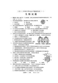 2022年山东省枣庄市峄城区初中学业水平模拟考试（一）生物试题（无答案）
