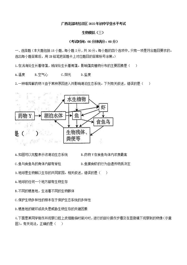 2022年广西北部湾经济区中考三模生物试题(word版含答案)01