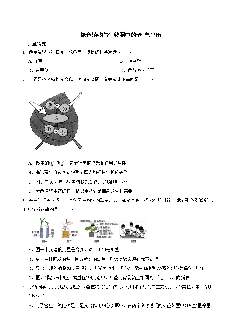 备考中考生物专题 绿色植物与生物圈中的碳-氧平衡解析版01