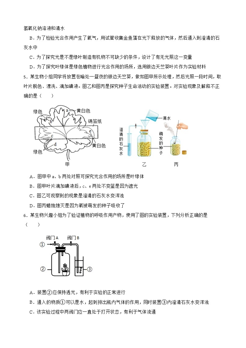 备考中考生物专题 绿色植物与生物圈中的碳-氧平衡解析版02