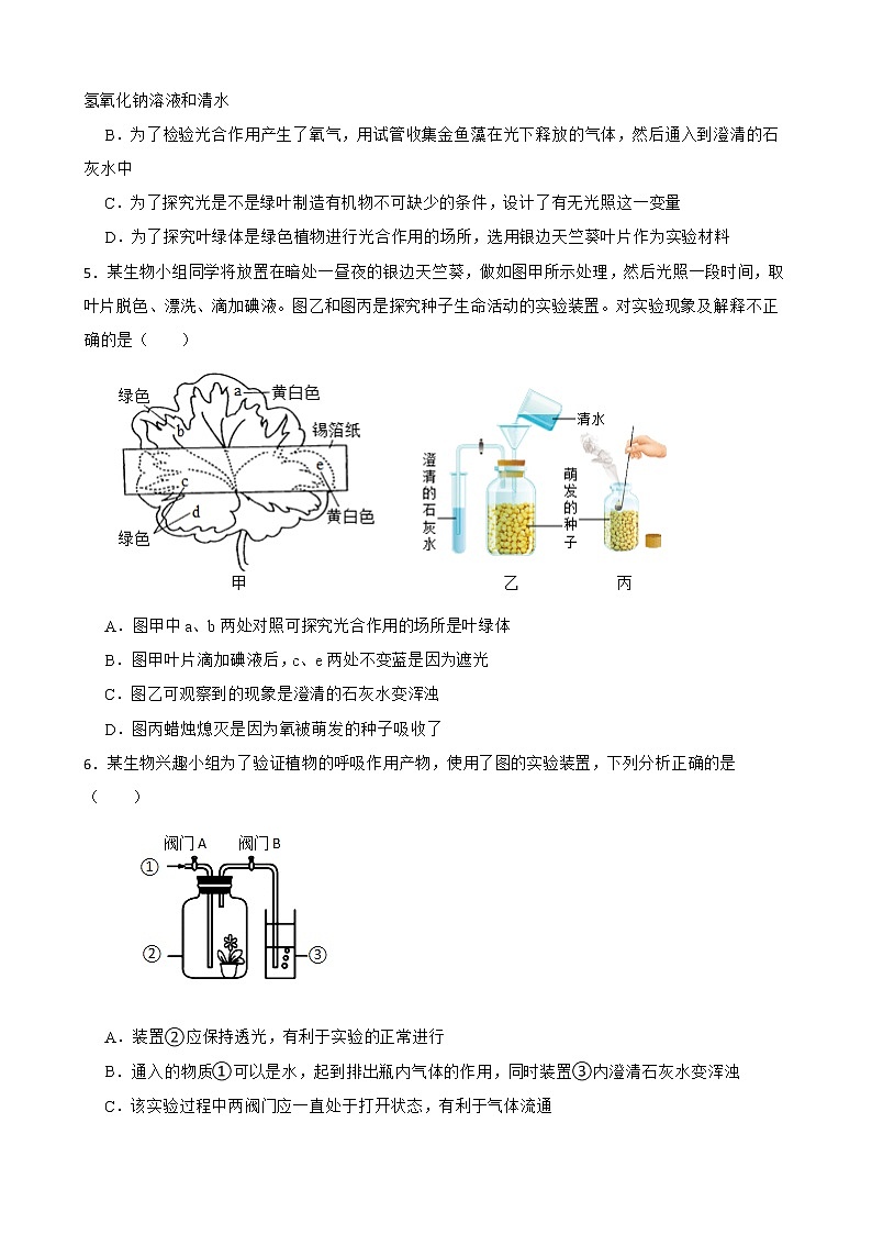 备考中考生物专题 绿色植物与生物圈中的碳-氧平衡解析版02