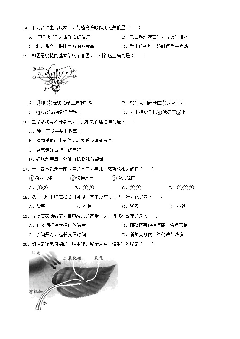 广东省中考生物三年真题汇编 生物圈中的绿色植物解析版第3页