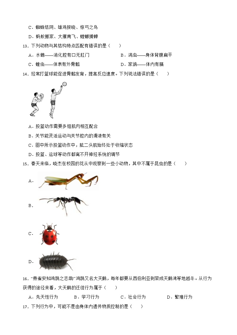 2021年山东省中考生物真题汇编 生物圈中的动物解析版03
