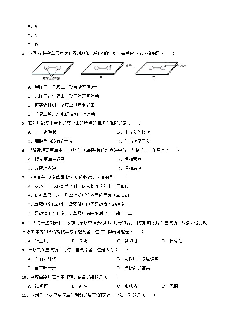 备考中考生物实验专项复习 观察草履虫解析版第2页