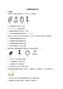 2021年山東省中考生物真題匯編 生物圈中的微生物解析版