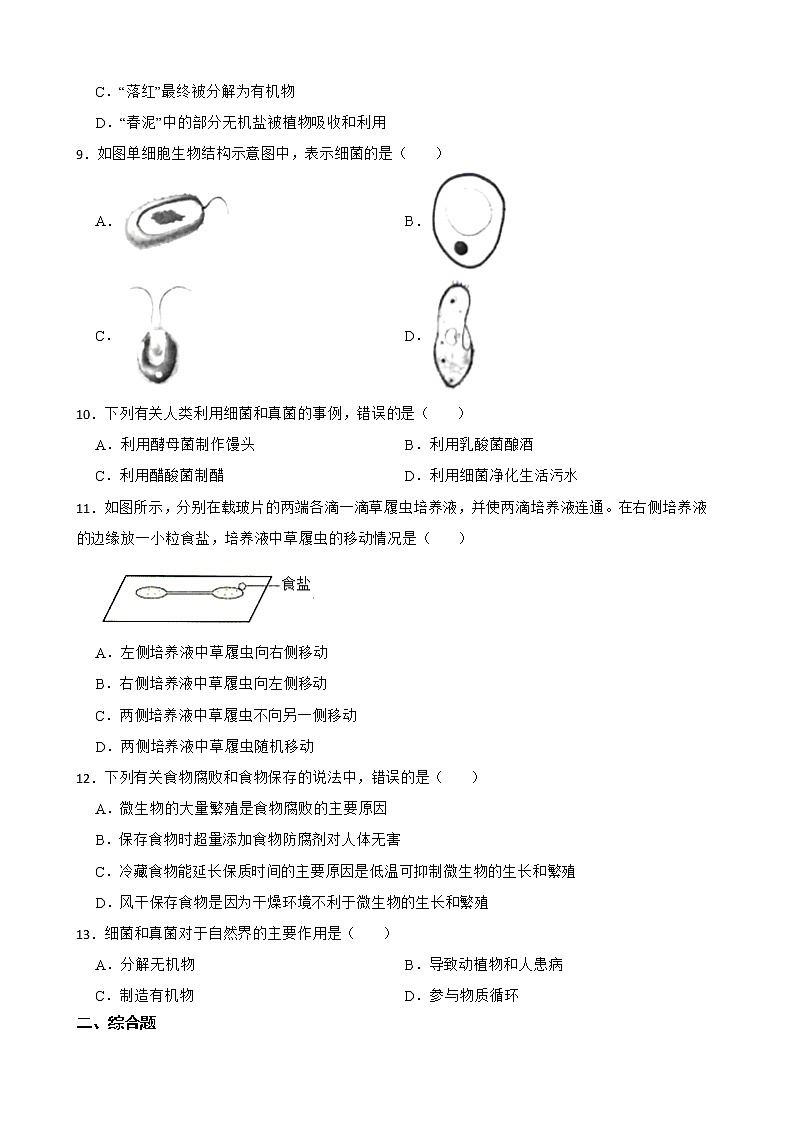 广东省中考生物三年真题汇编 生物圈中的微生物解析版02