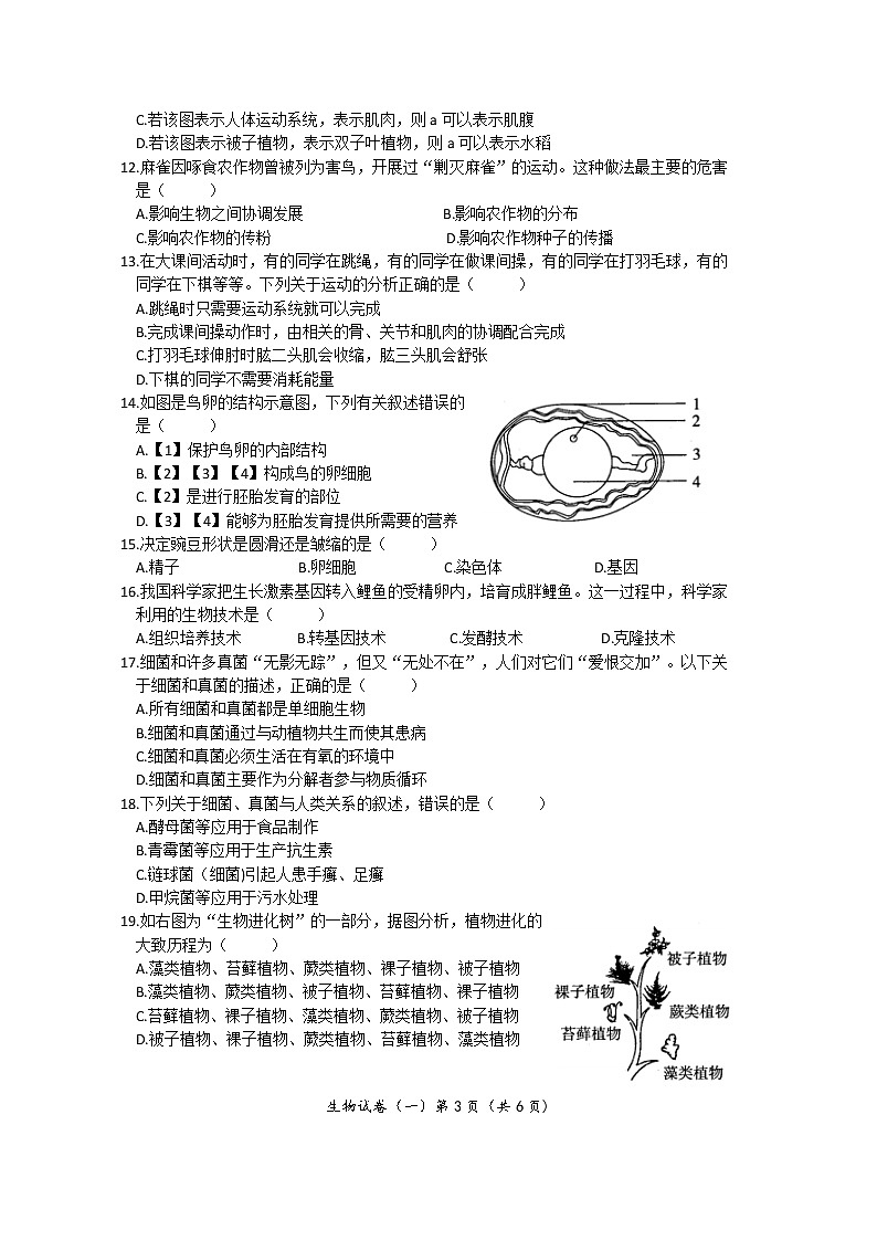 2022年河南省普通高中招生考试模拟试卷 生物(一)第3页