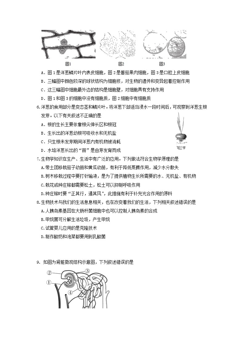2022年内蒙古呼和浩特市回民区中考模拟生物试题(含答案)02