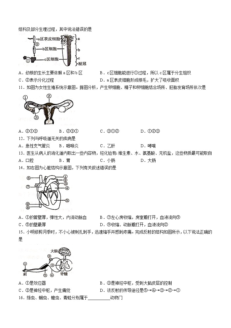 2022年河南省南阳市卧龙区中考二模生物试题(word版无答案)第2页