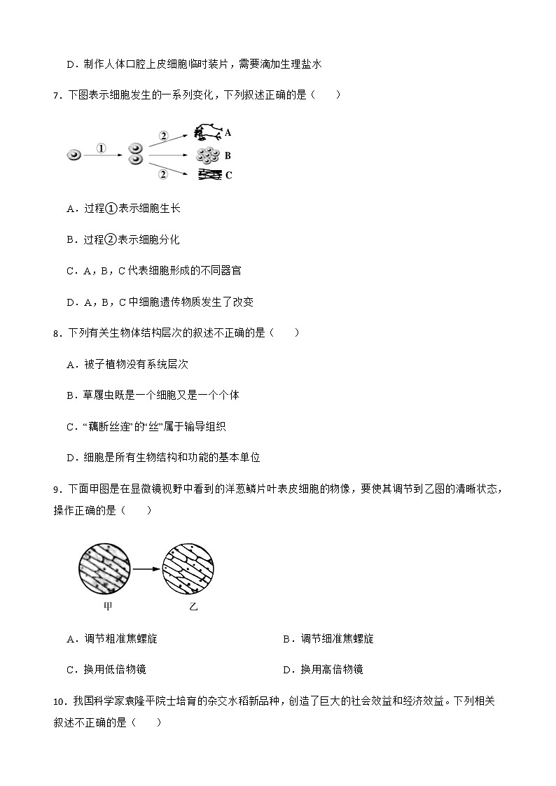 广东省中山市2022年中考一模生物试卷及答案03