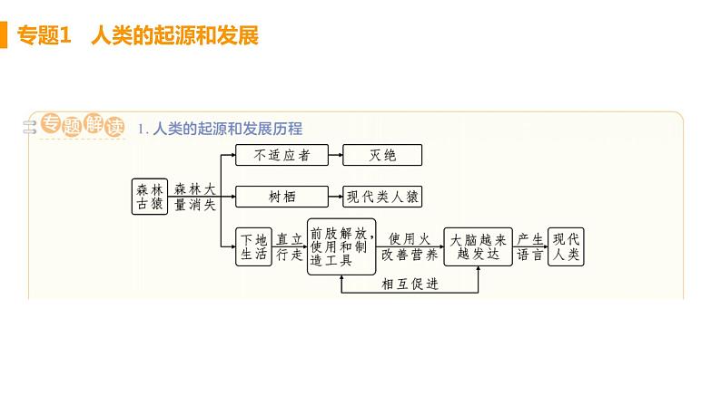 人教版生物七年级下册 第一章 人的由来(单元专题强化课件PPT)02