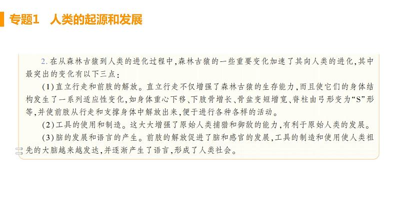 人教版生物七年级下册 第一章 人的由来(单元专题强化课件PPT)03