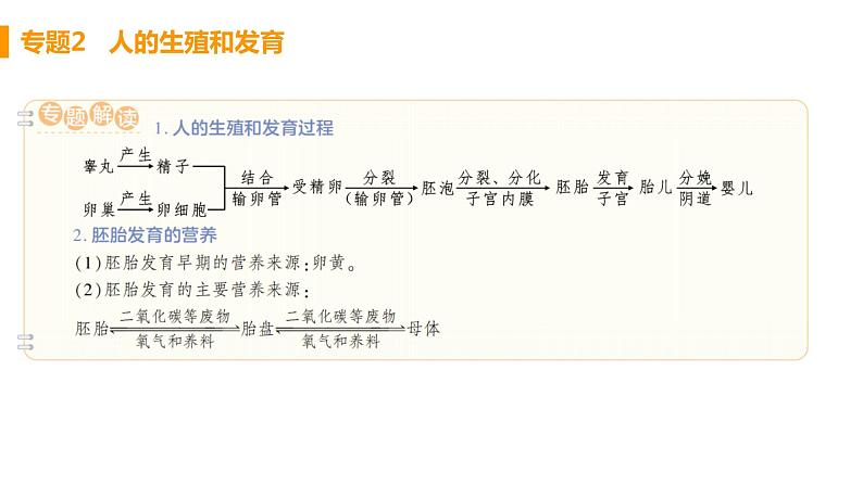 人教版生物七年级下册 第一章 人的由来(单元专题强化课件PPT)04