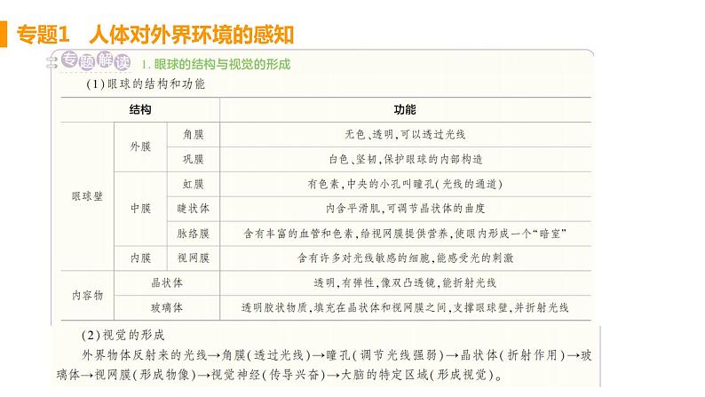人教版生物七年级下册  第六章  人体生命活动的调节(单元专题强化课件PPT)第2页